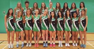 Image result for Meon Netball Club