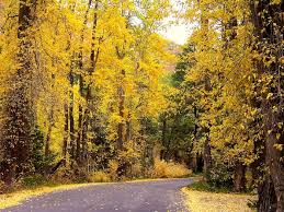 Image result for $$fall_akte__ort$$