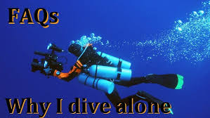 Image result for innerspace divers