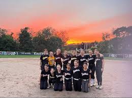Image result for Cheetahs Softball Team