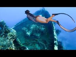 Image result for Exe To Sea Diving