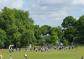 Image result for Mitcham Cricket Club