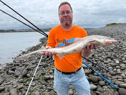 Image result for Bideford and District Angling Club