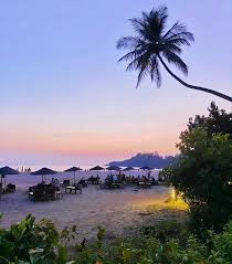 Image result for patnem beach