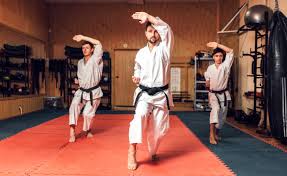 Image result for Phoenix Martial Arts