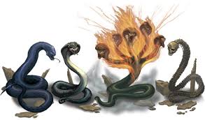 Kuvahaun tulos haulle nagas