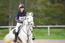 Image result for Chiddingfold Branch Of The Pony Club