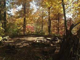 Image result for $$fall_akte__ort$$