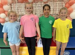 Image result for Wantage Gymnastics Club