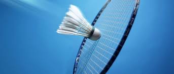 Image result for Reading Ladies Summer Badminton Club