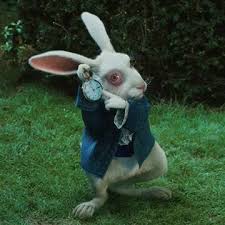 Image result for alice in wonderland rabbit