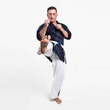 Image result for Yoseikan Budo England