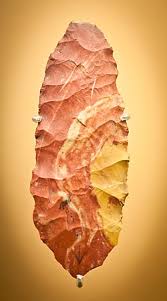 Image result for feuille-laurier-silex