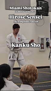 Image result for Excalibur Shotokan Karate Club