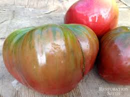 Afbeeldingsresultaat voor black oxheart tomato