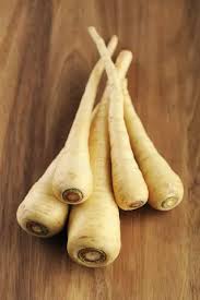 Image result for Pastinaca sativa