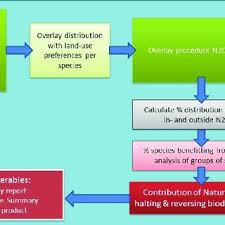 Attēlu rezultāti vaicājumam “Stemonitopsis amoena”