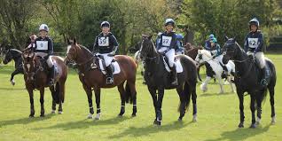 Image result for Elstead Riding Club