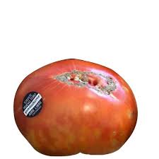 Afbeeldingsresultaat voor butter and bull heart tomato