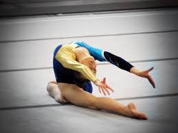 Image result for Sponte Sua Gym