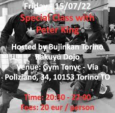 Image result for Peter Kings Dojo