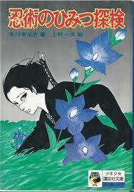 Image result for Bujinkan Lincon Dojo