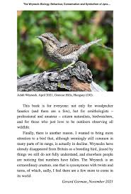 Attēlu rezultāti vaicājumam “Jynx torquilla adult”