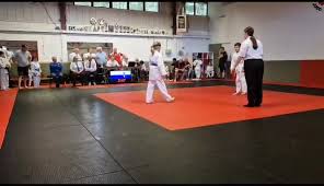 Image result for Phoenix Star Judo Club