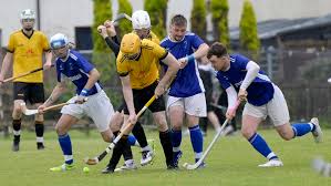 Image result for Kilmallie Shinty Club