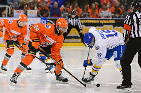 Image result for Sheffield Steelers