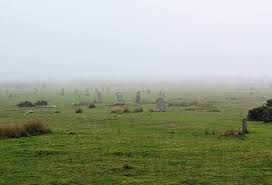 Image result for bodmin moor