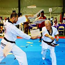 Image result for Dujon Tae Kwon Do