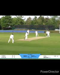 Image result for Botany Bay Cricket Club