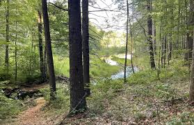 Image result for Manchester Cross Country Ski Club