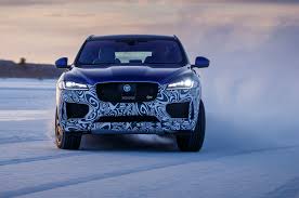 Image result for Glacier 2017 Jaguar
