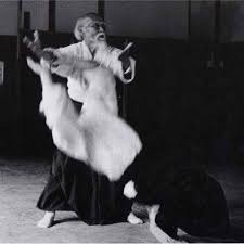 Image result for Kokyu Aikido Association