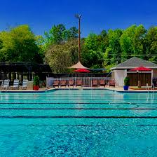 Image result for Romsey and Totton Swimming Club