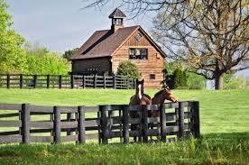 Image result for Lower Farm Stables