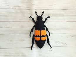 Attēlu rezultāti vaicājumam “Nicrophorus vespilloides”