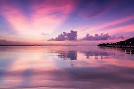 Image result for free wallpaper