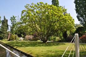 Image result for Arboretum Trompenburg