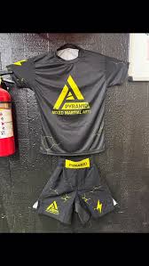 Image result for Pyramid martial arts