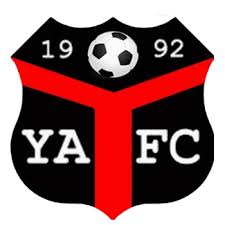 Image result for Cwmbran Celtic F C