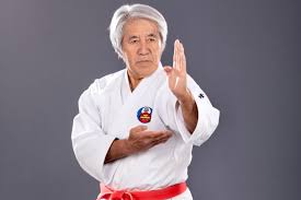Image result for Kyoku Kenjutsu Kai