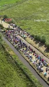 Image result for Bog Snorkelling Championships