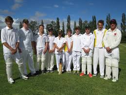 Image result for Halstead Colts Cricket Club