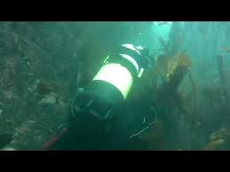 Image result for East Cheshire Sub-Aqua Club