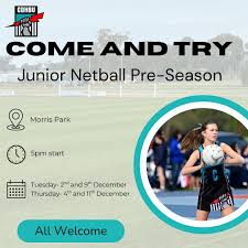 Image result for Onslow Pink Panthers Junior Netball Club