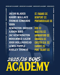 Image result for Pontarddulais Cricket Club