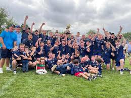 Image result for Wolfe Tones Gaelic Athletic Club